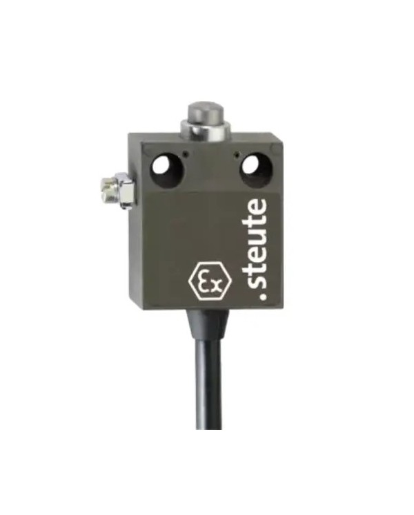 EX 12 - 2M -A2S Position Switch