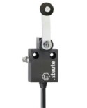 Interrupteur de position Ex série Ex 12 DL - 2m -A2S