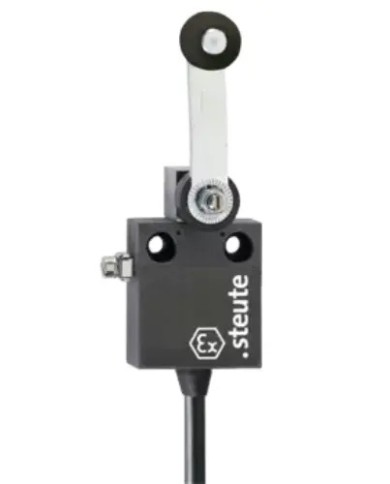 Interrupteur de position Ex série Ex 12 DL - 2m -A2S