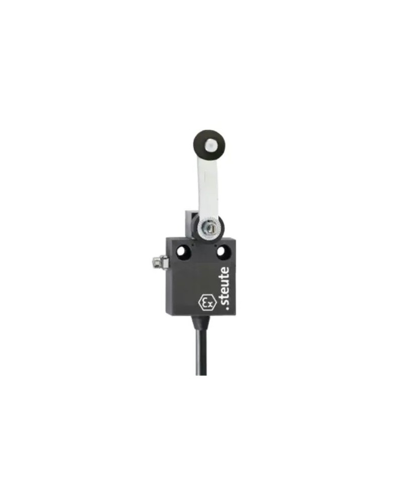 Interrupteur de position Ex série Ex 12 DL - 2m -A2S