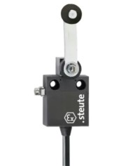 Interrupteur de position Ex série Ex 12 DL - 2m -A2S