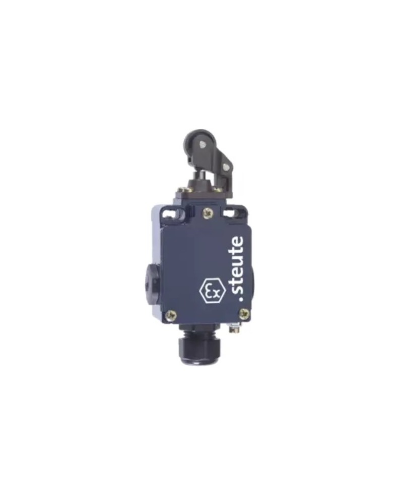 'EX Serial Ex Series Position Switch 1K 1Ö / 1S -A2S