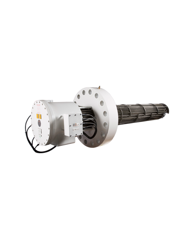 BFP ATEX immersion heaters