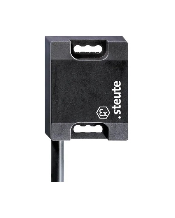 Sensor de seguridad del sitio EX-RC SI 56 1Ö / 1S - 10M -A2S