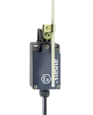 Interrupteur de position Ex série Ex T 356 4V10H 1Ö/1S-2m -A2S