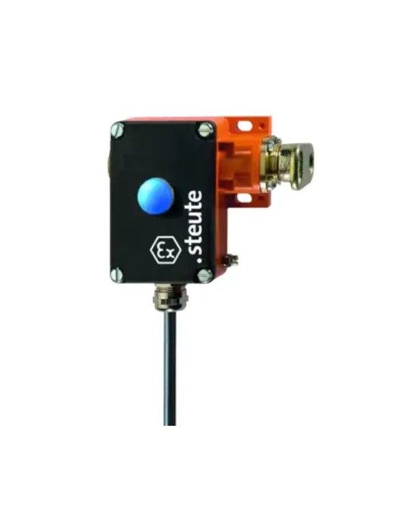 Ex ZS 73 S 1 -1 / 1S VD - 3M -A2S Serial Ex Series Ex Series