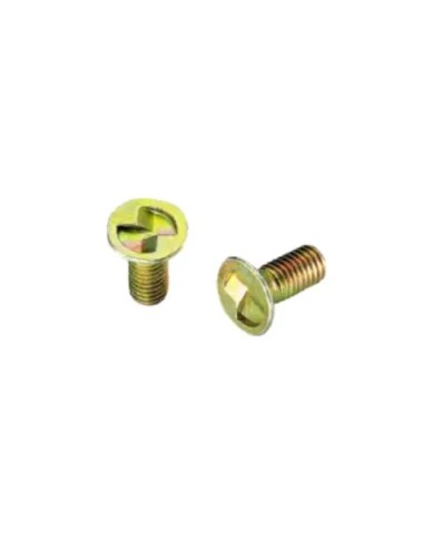 M5 x 12 Safety screw -A2S