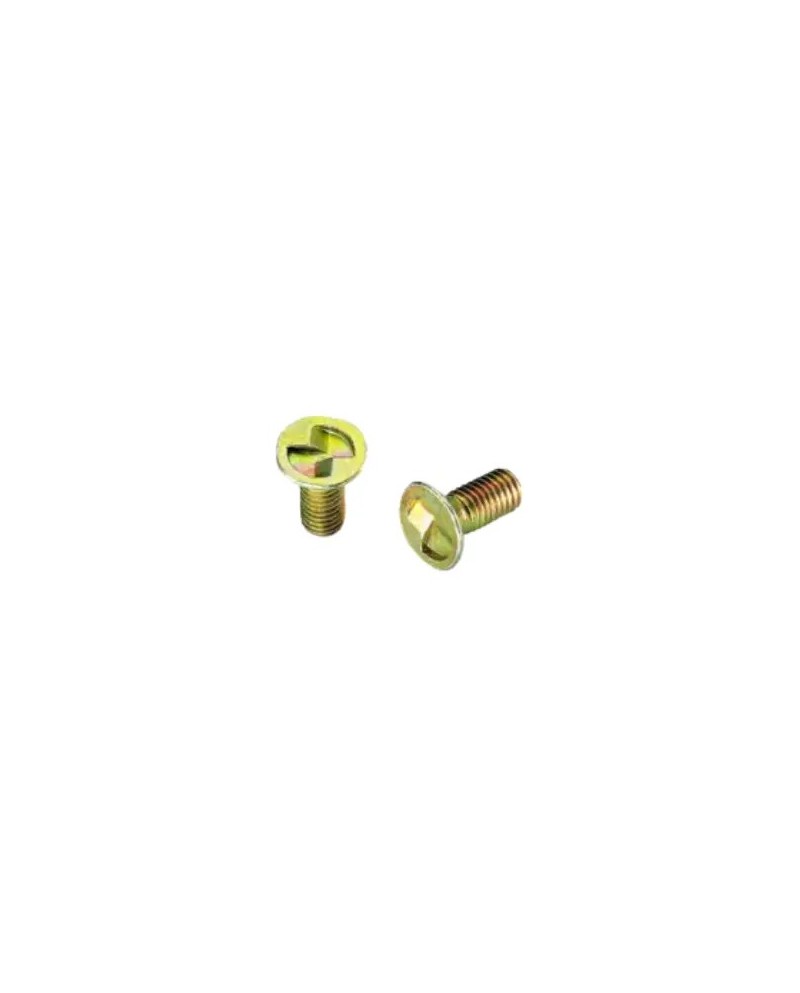 M5 x 12 Safety screw -A2S