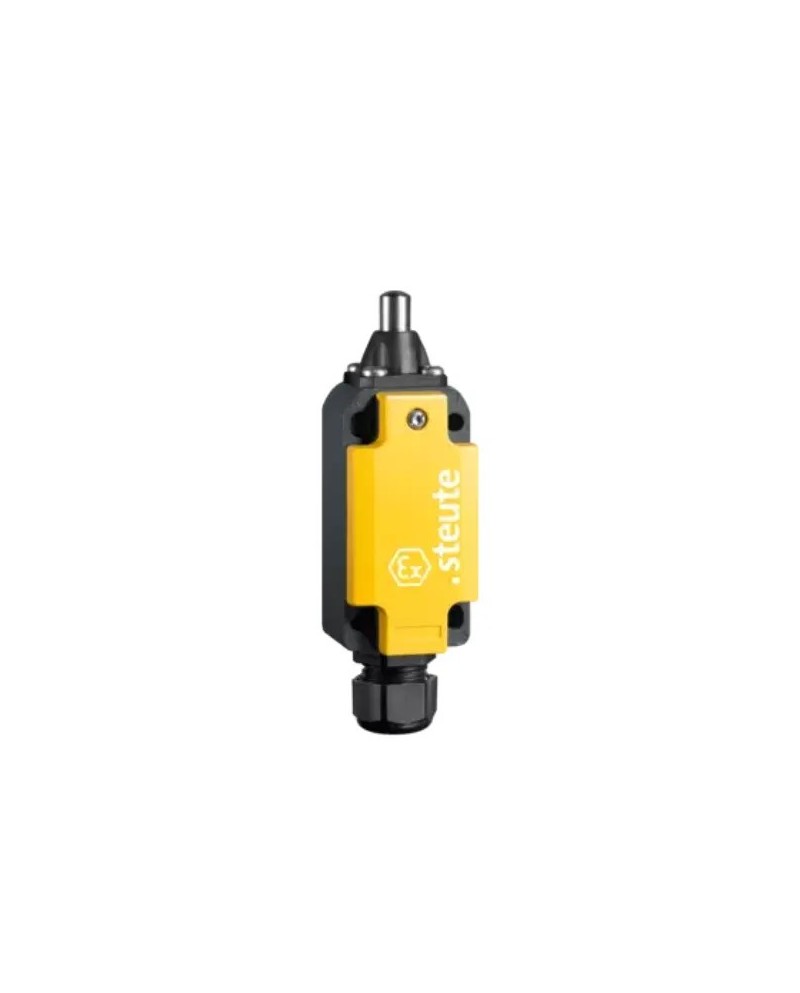 Ex e es 98-11-3g / d -a2s position switch