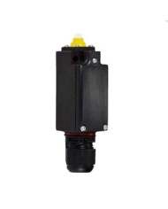 Interruttore di posizione ATEX SERIAL 8060/2 1,2 -A2S ZONE