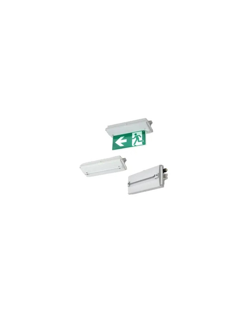 C-LUX ATEX Series 6102 Light Fisure Compact: 1,2 -A2S ZONE