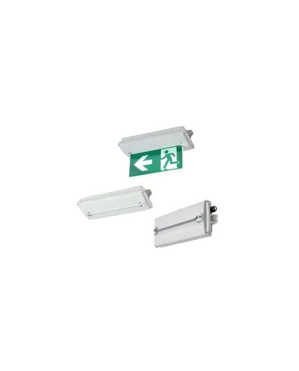 C-Lux Atex Series 6102 compact light fixtures: 1,2 -A2S zone