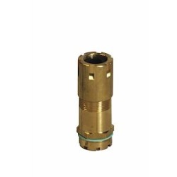 Presse-étoupe BVLE 3 + Ecrou + Joint fibre - laiton naturel - IP66-A2S