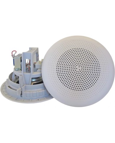 DPD-10-54 (T) -A2S Series Speaker