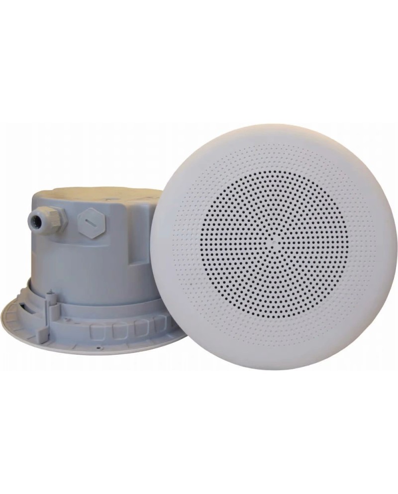 Haut-parleur série DP-30(T) -A2S