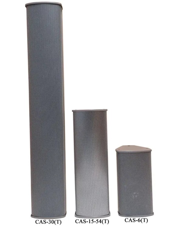 Cas-6 (T) -A2S Series Speaker