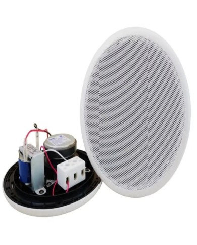 Haut-parleur série BP-361T - A2S