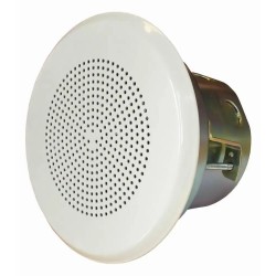 Altoparlante VES-661 (T) -A2S Series Speaker