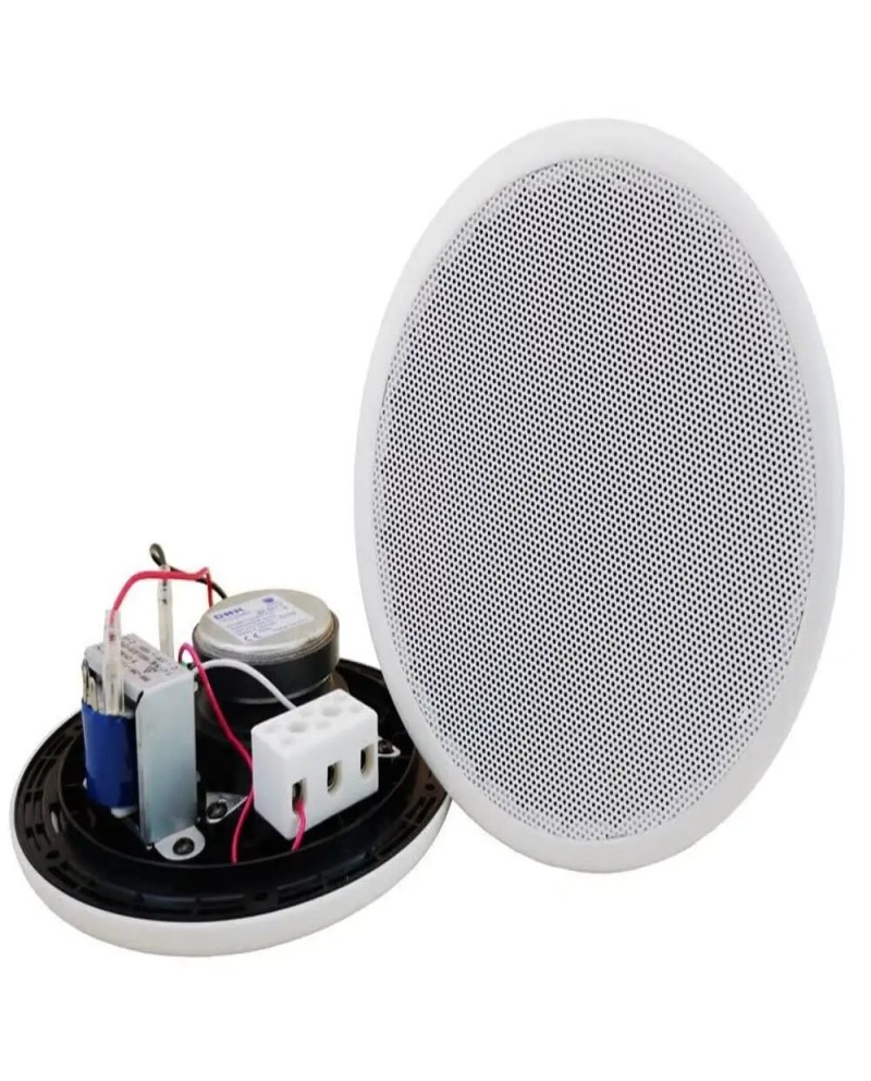 Haut-parleur série BP-361T - A2S