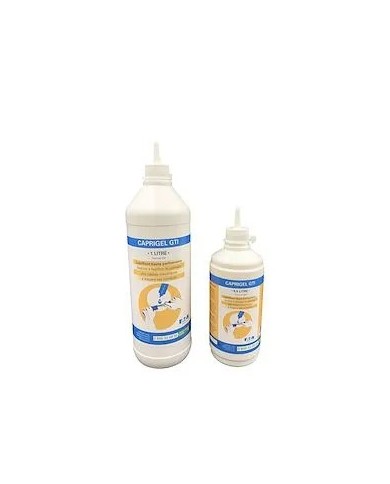 Bouteille de lubrifiant électrique Caprigel GTI 0,5L -A2S