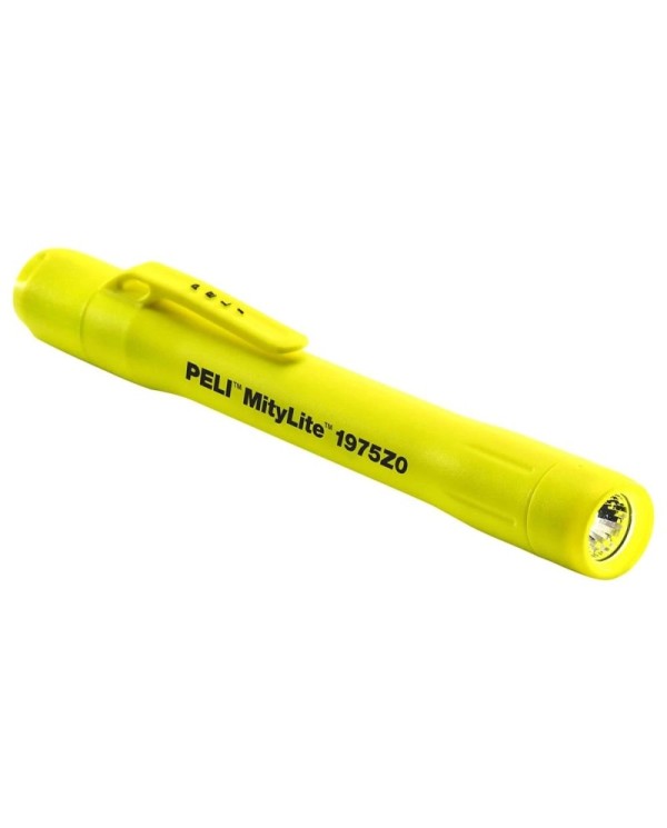 Lampe Torche ATEX 1975Z0 Zone 0/21 - A2S