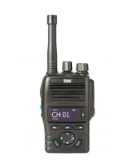 Portatif radio Atex série DX425 -A2S