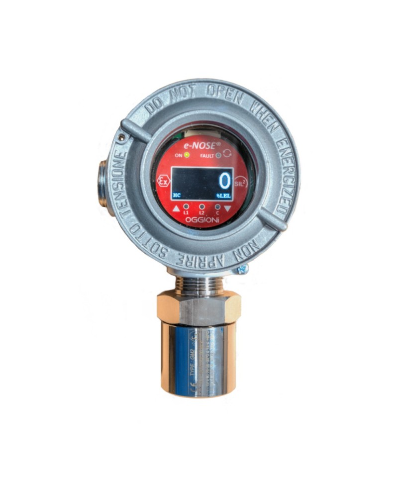 Détecteurs de gaz ATEX série RAS/DY - A2S
