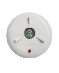 Rivelatore di fiamma fisso IRY2