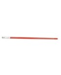 Playing cane for perch and testing punctual detectors -A2s