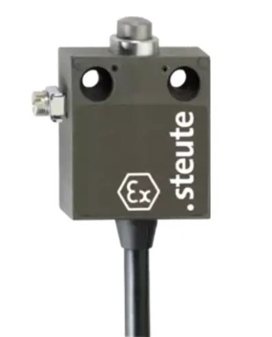Interrupteur de position Ex 12 - 2m -A2S